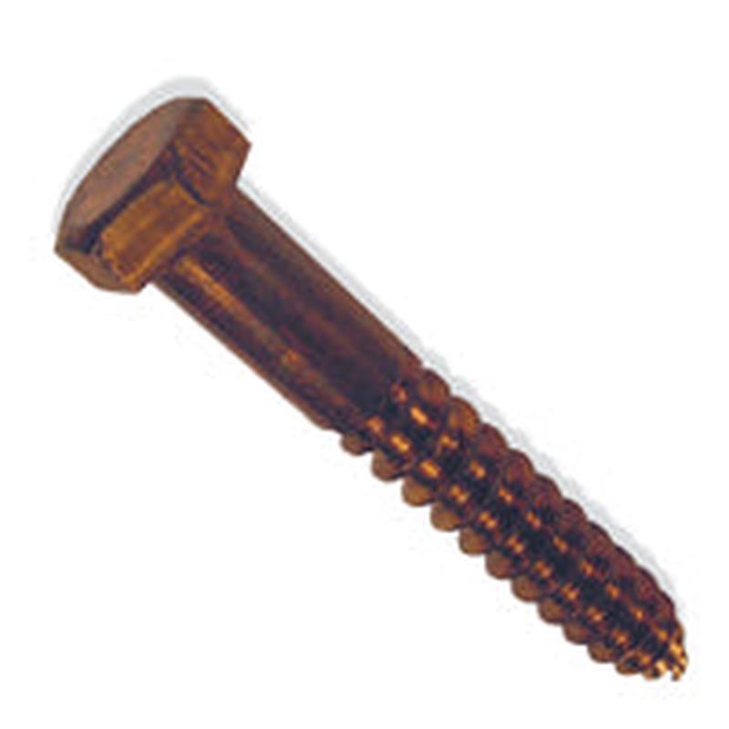 [1 PC] Lag Screws Hex Silicon Bronze 5/16 X 2-1/2
