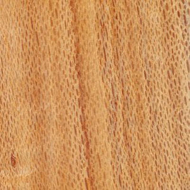 335 x 240 x 90mm Camphor Laurel Solid Timber Document Box Kit
